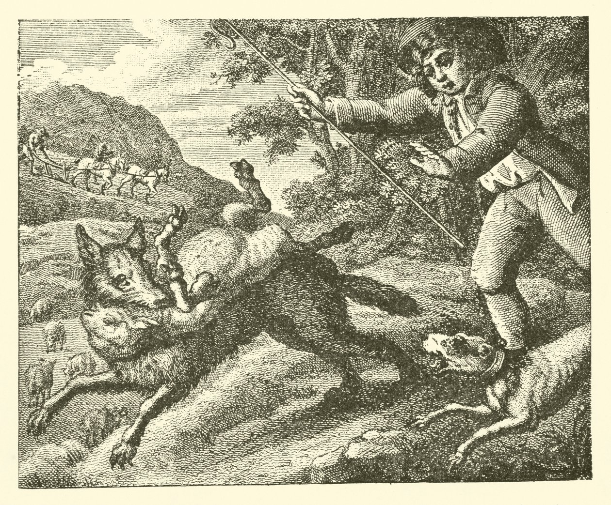 The Shepherd