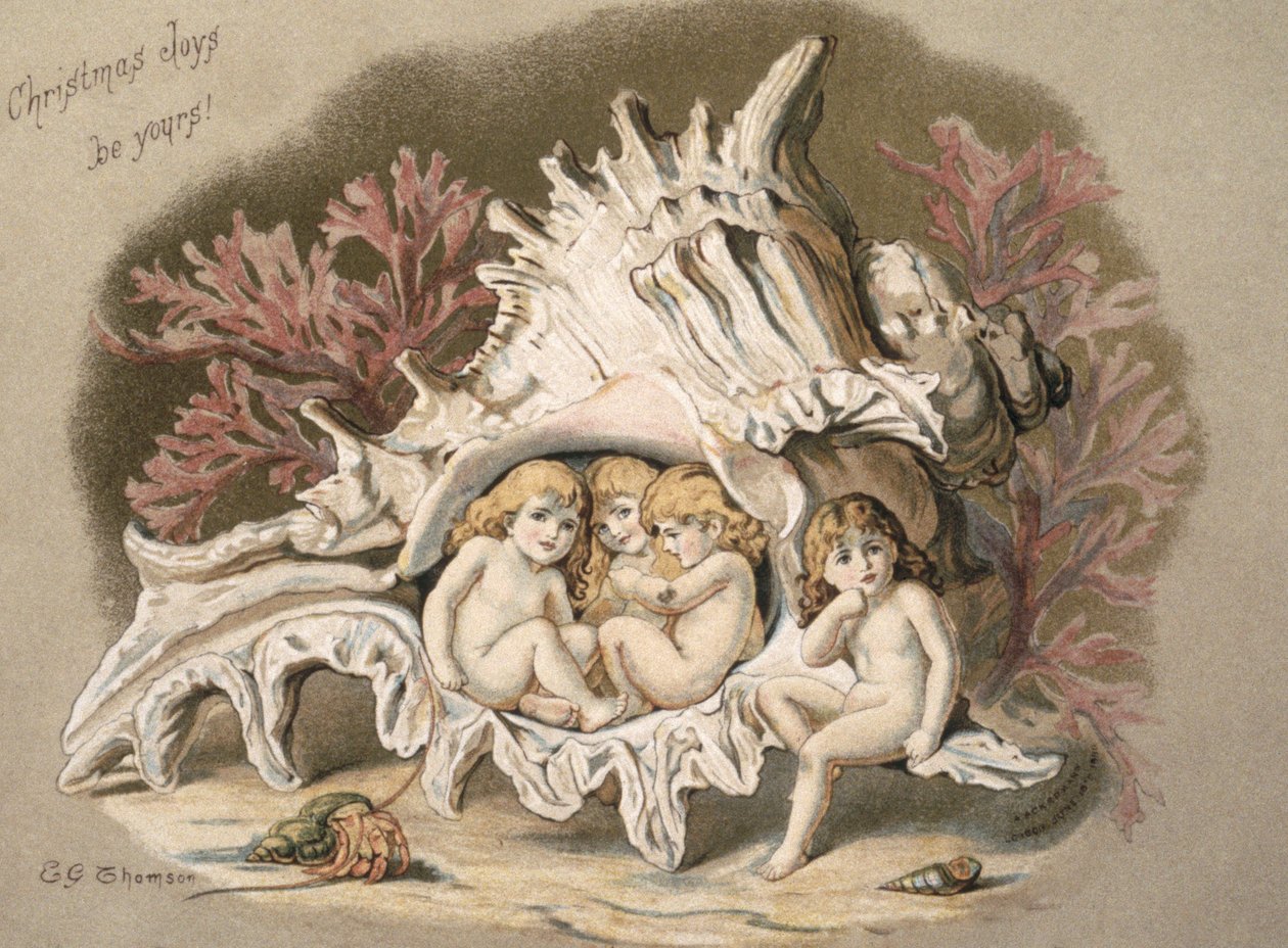 The water babies by English School