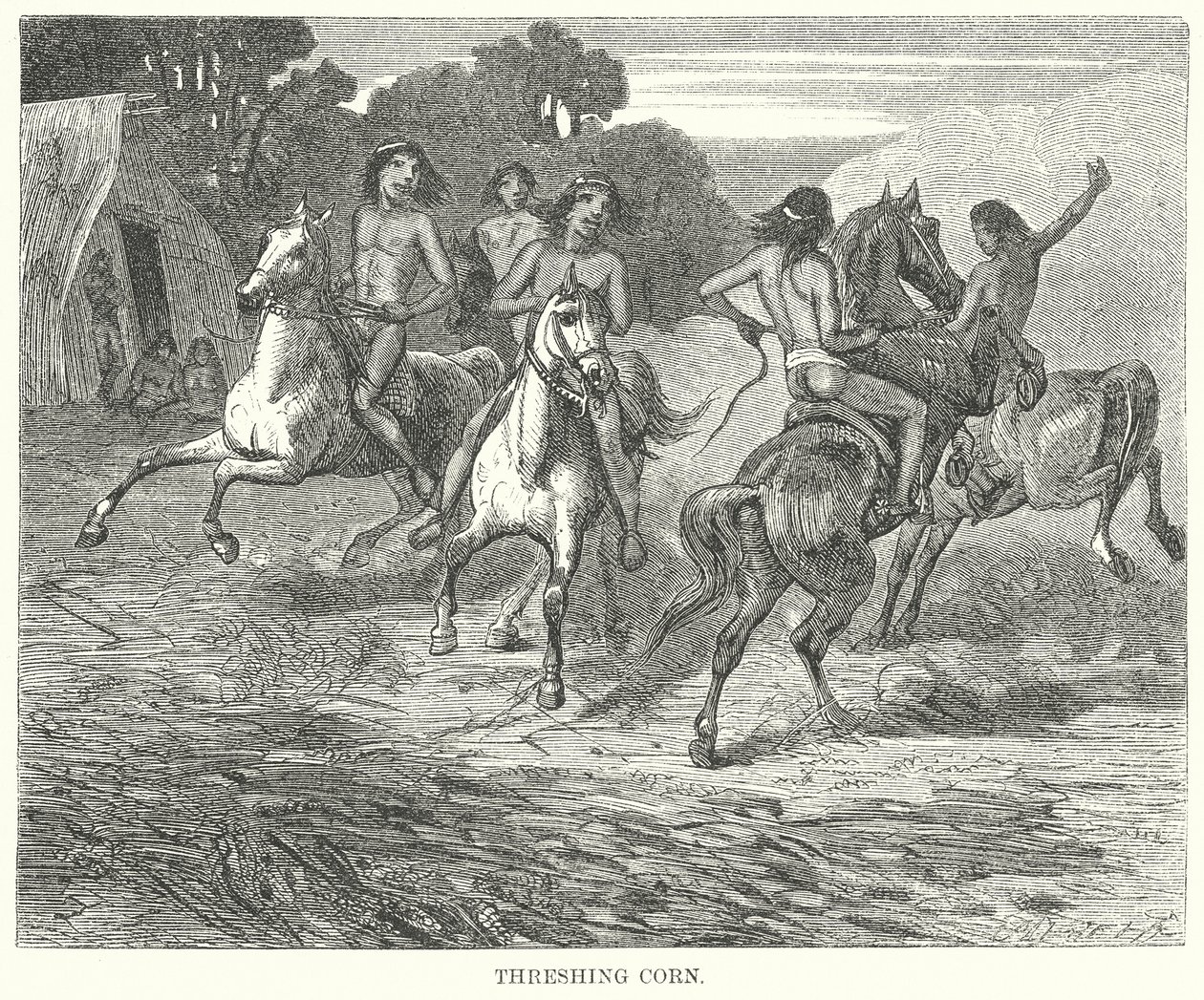 Threshing Corn by English School