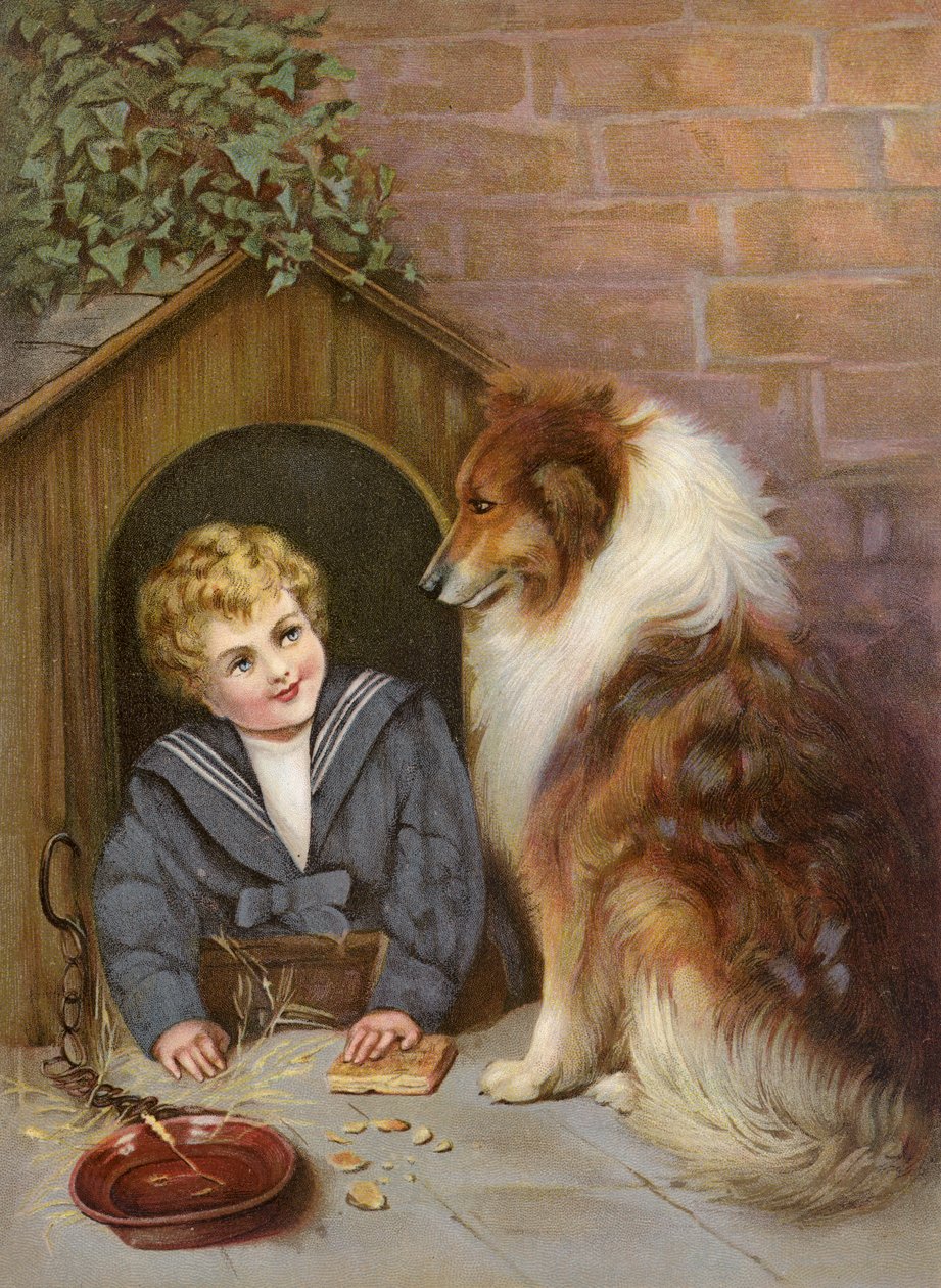 Turned Out - Boy Pretending to be Collie Dog by English School