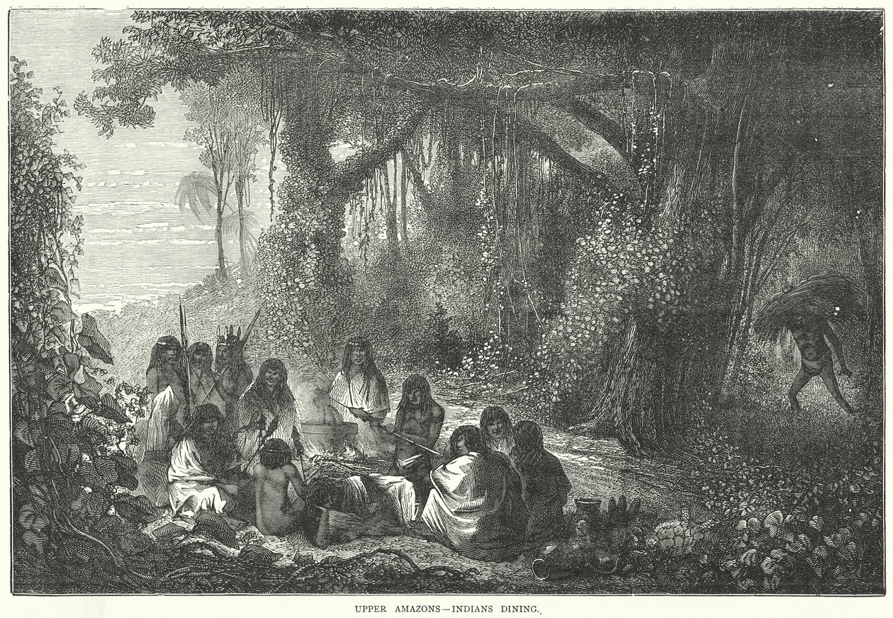 Upper Amazons – Indians Dining by English School