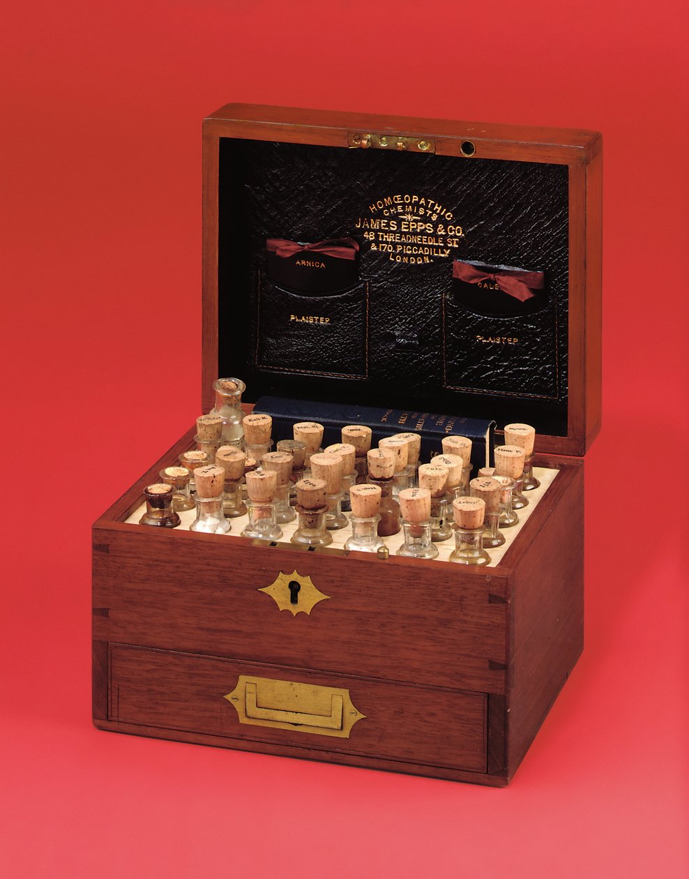 Victorian homeopathic medicine chest produced by James Epps & Co., mid 19th century by English School