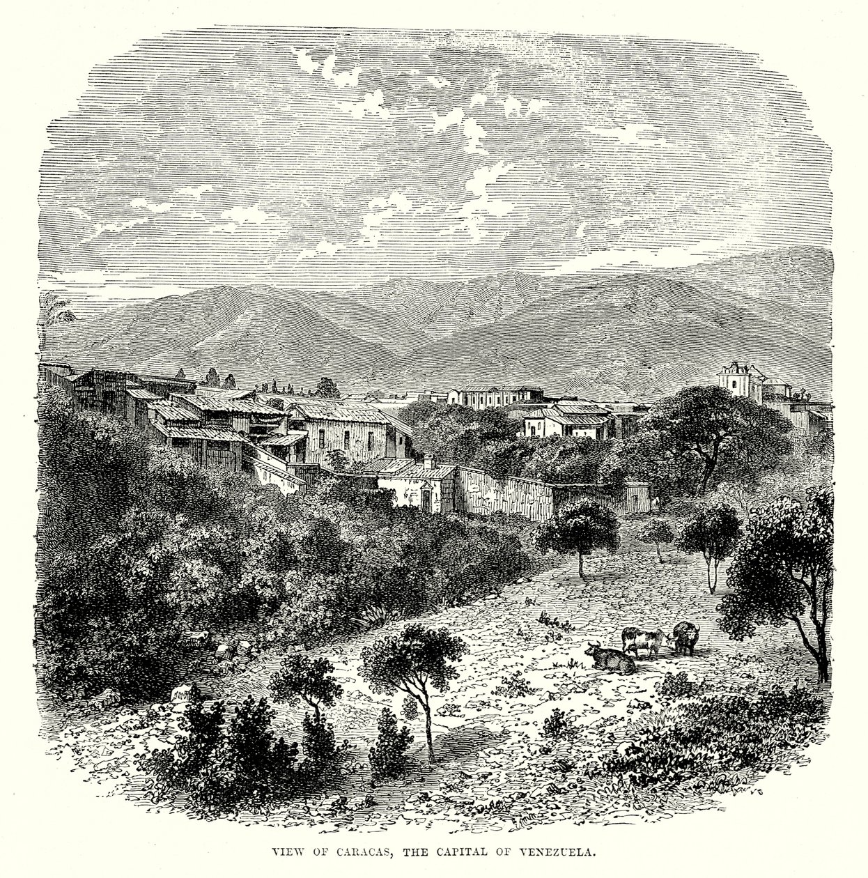 View of Caracas, the Capital of Venezuela by English School