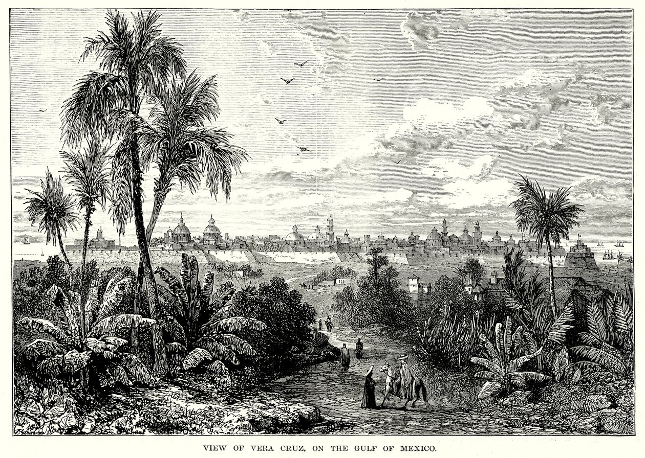 View of Vera Cruz, on the Gulf of Mexico by English School