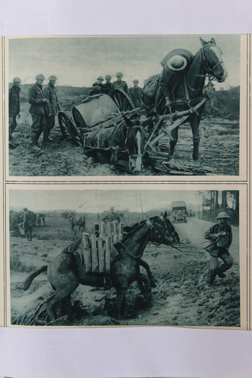 War Horses Sinking in the Mud, Northern France, August 1917 by English School
