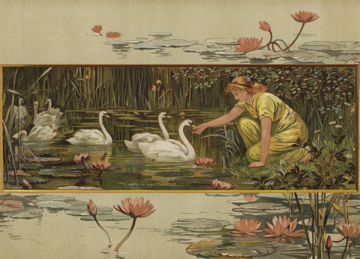 Where the Water-Lilies Grow by English School