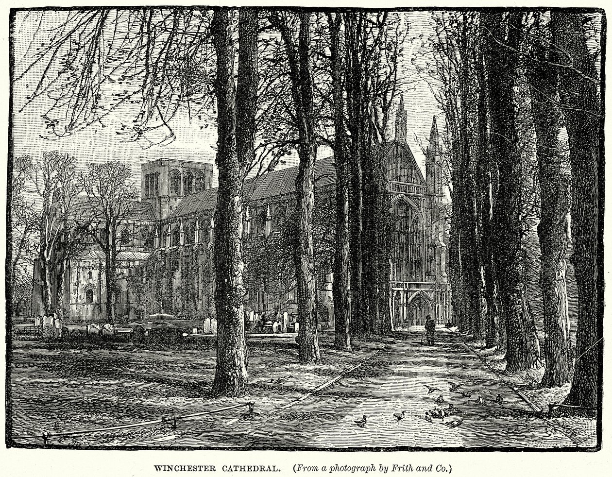 Winchester Cathedral by English School