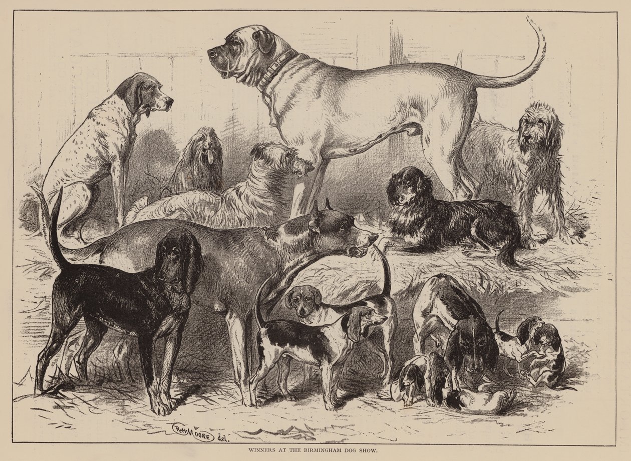 Winners at the Birmingham Dog Show by English School