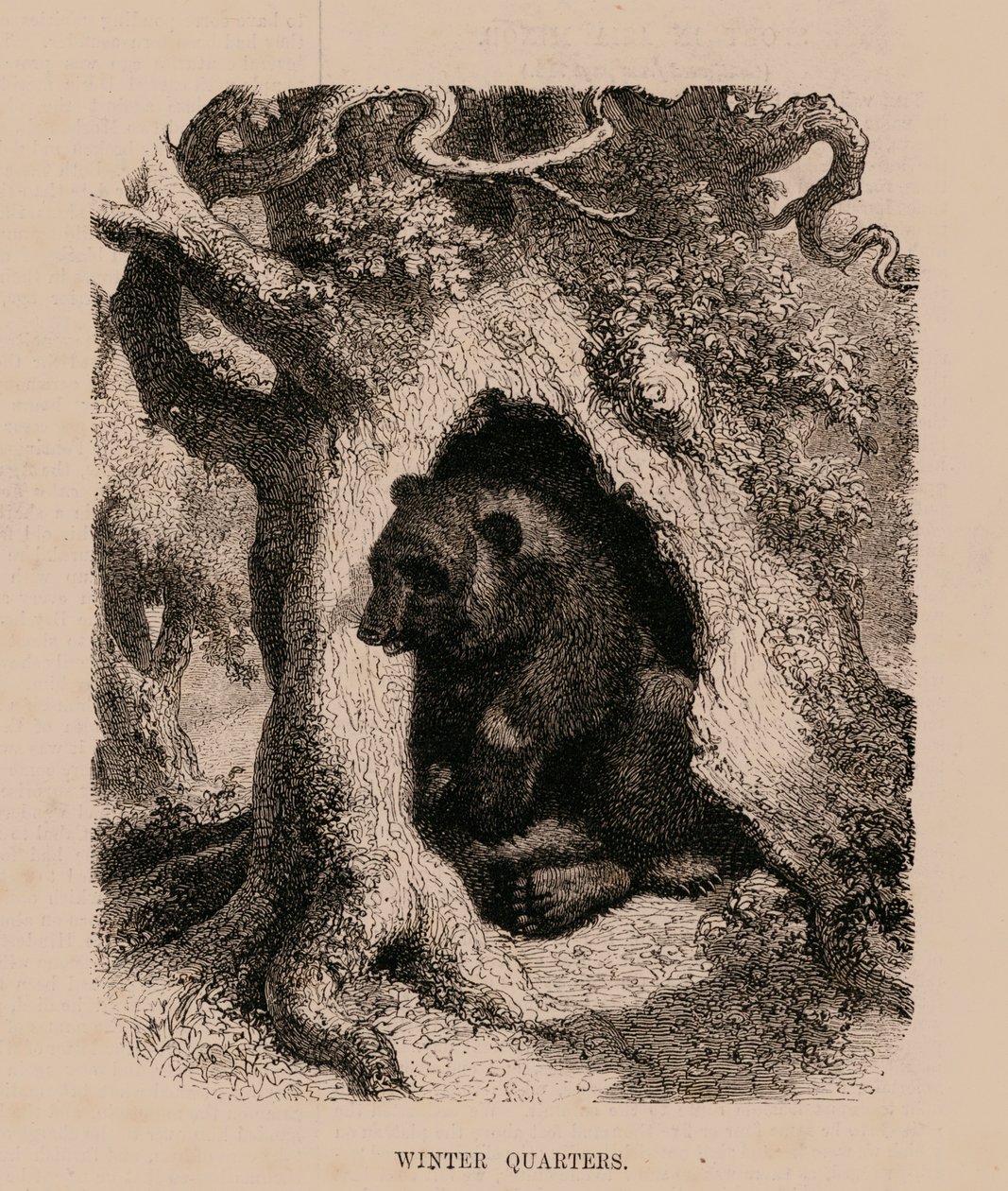 Winter Quarters by English School