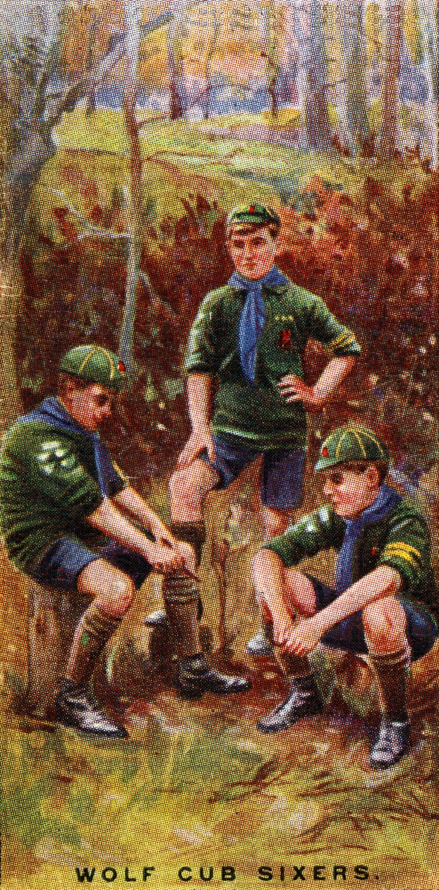 Wolf Cub Sixers by English School