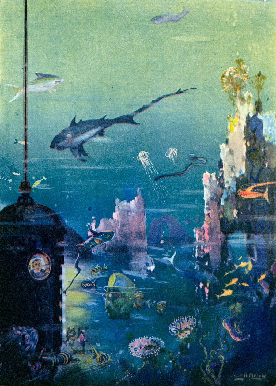 Wonders of the Deep by English School
