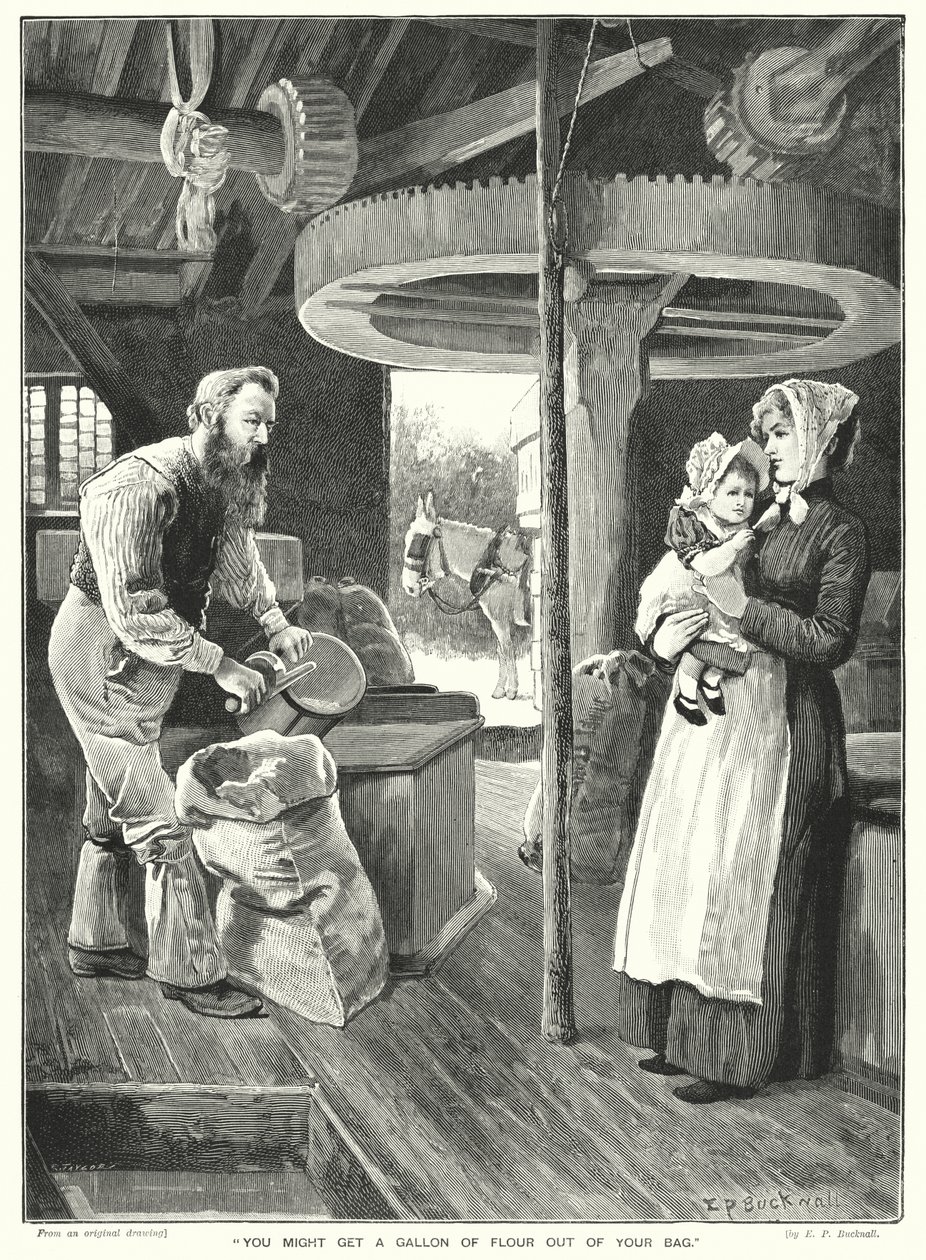 You Might Get a Gallon of Flour Out of Your Bag by English School