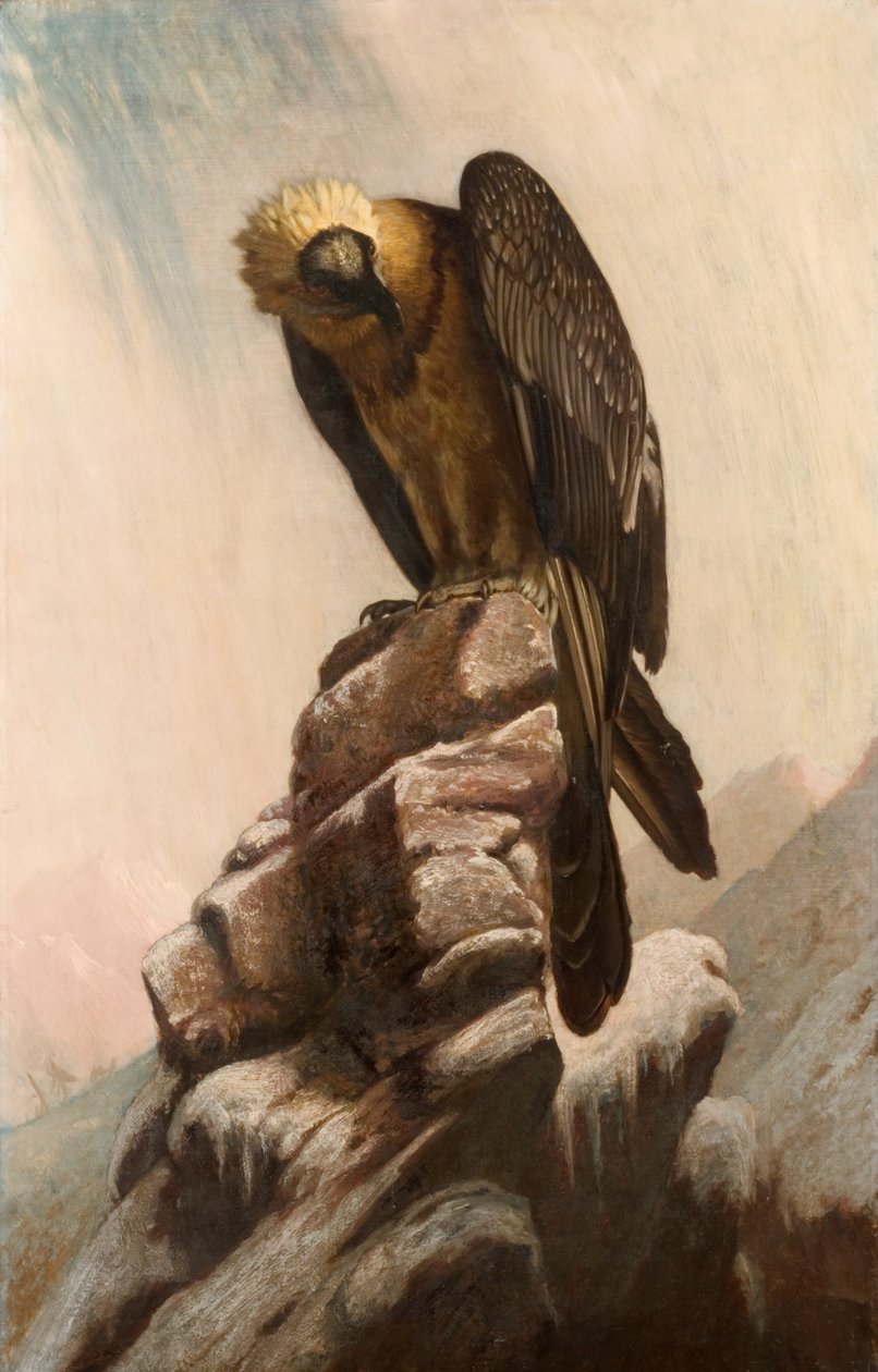 Eagle on Cliff by English School English School