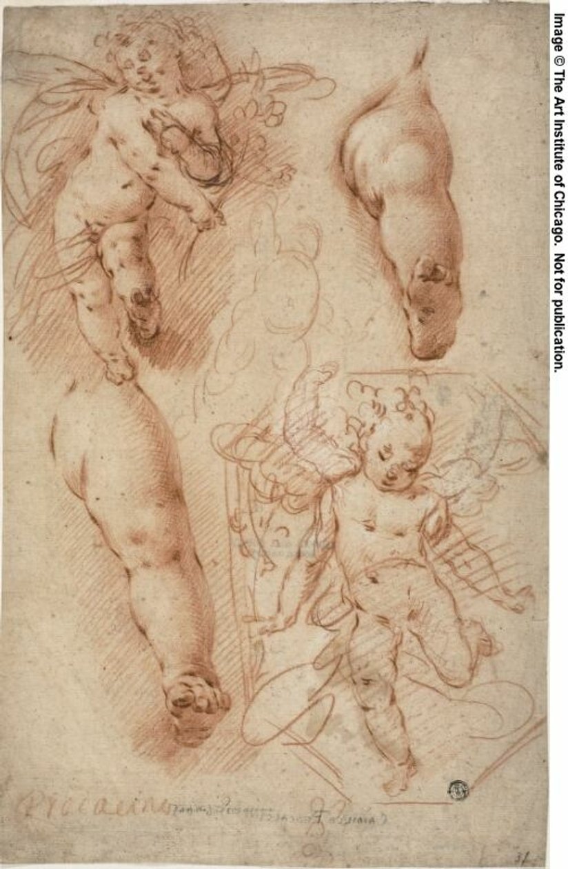 Sketches of Putti, Legs by Ercole Procaccini the younger