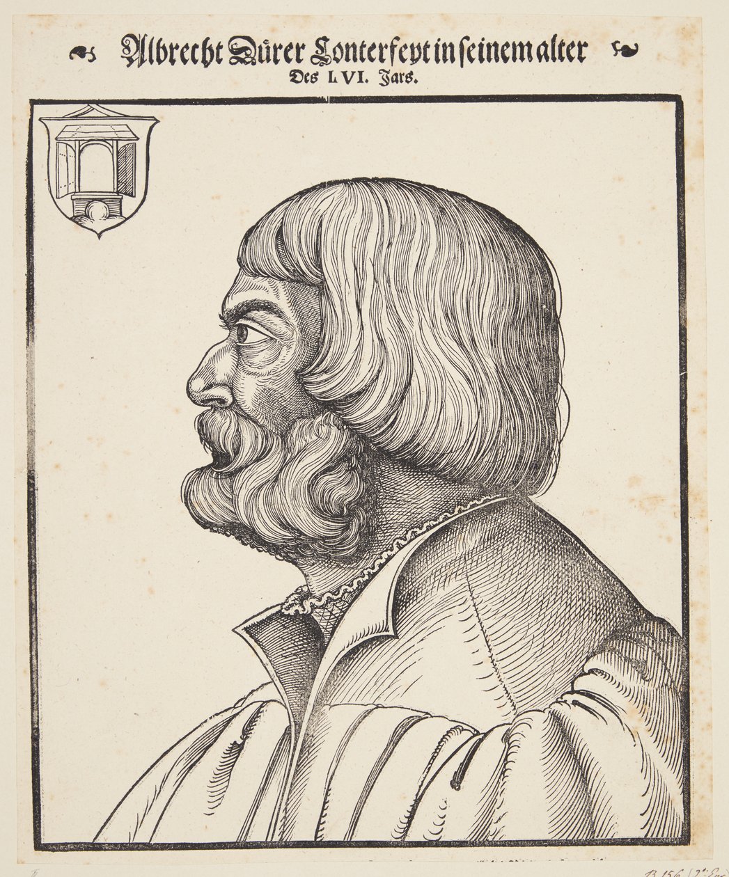 Albrecht Dürer by Erhard Schon