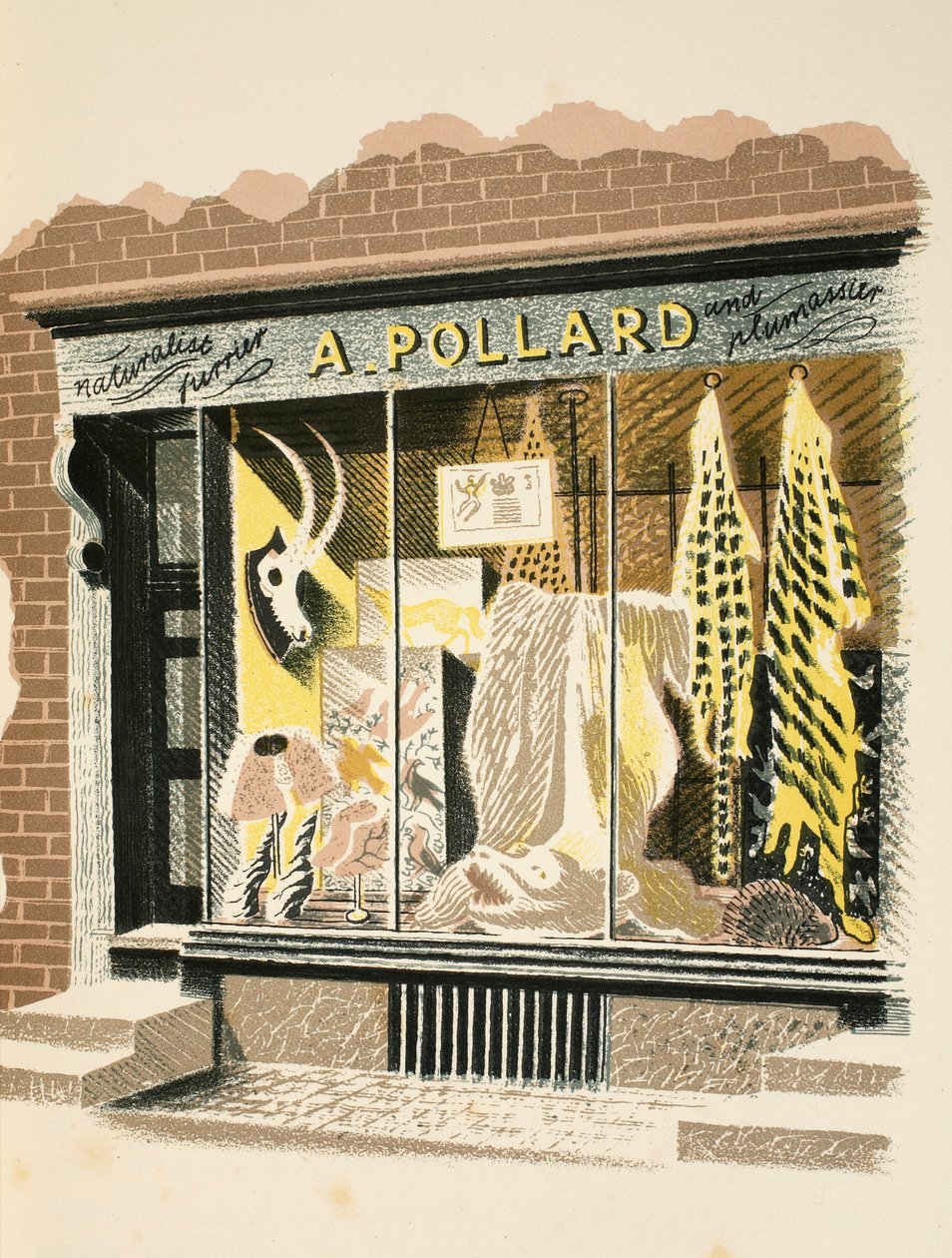 Furrier, illustration from 