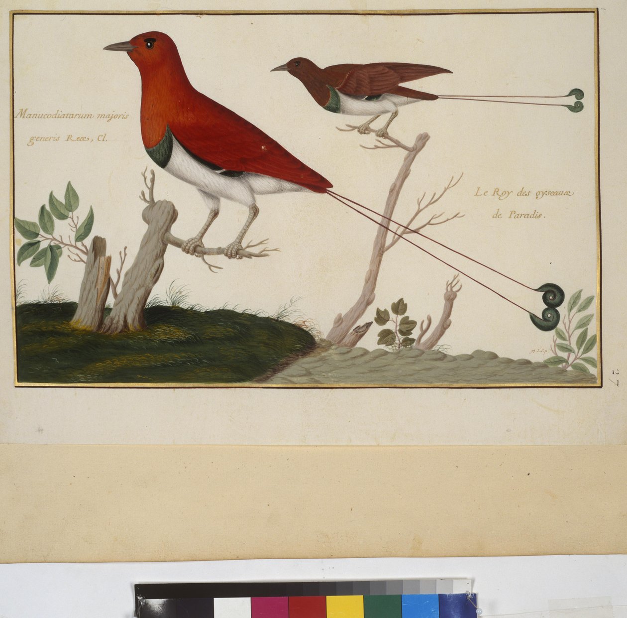 Animal Study, c.1650-75 by Erich Lessing