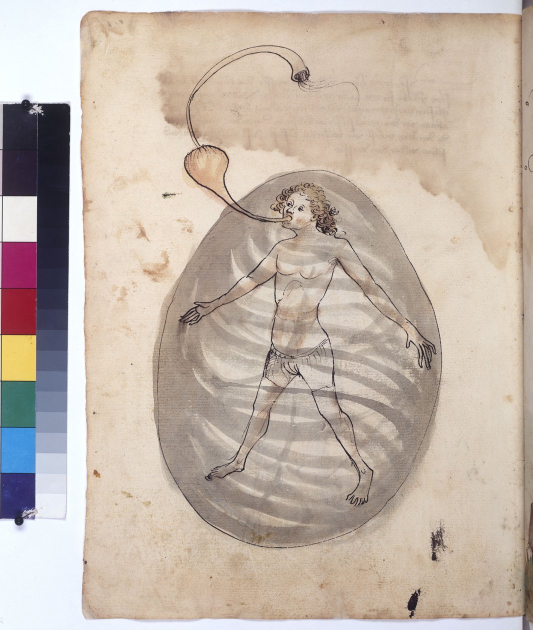 Diver, c.1430 by Erich Lessing