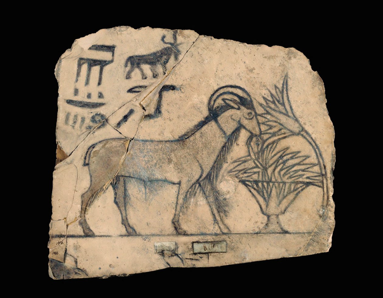 Ostracon with Drawing of a Ram by Erich Lessing
