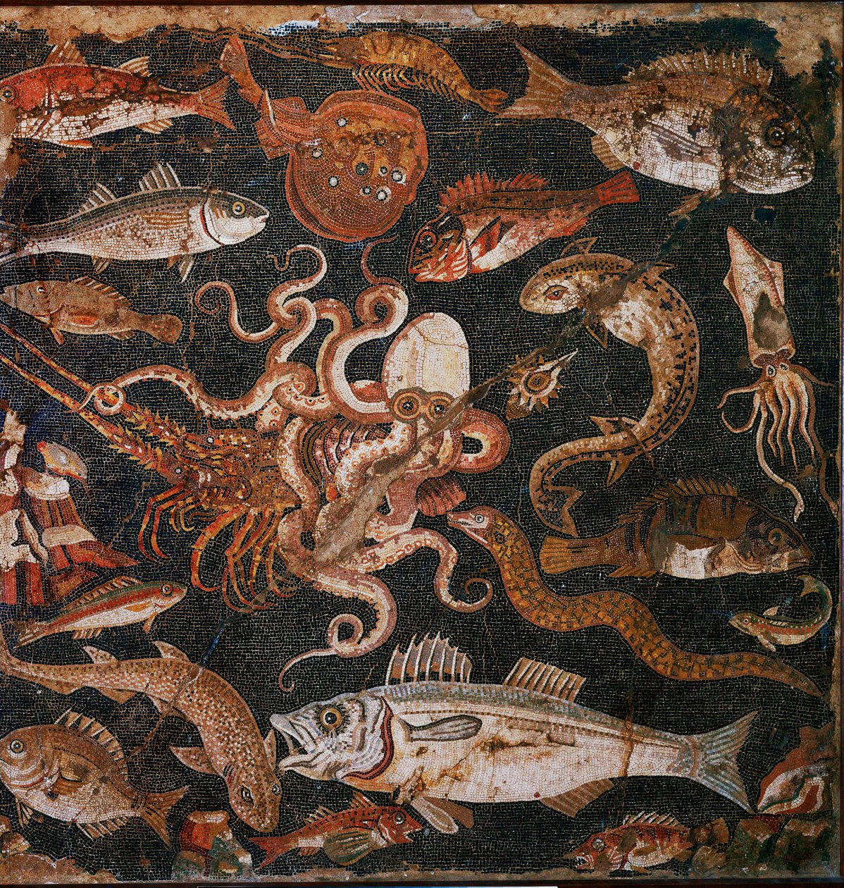 Submarine Fauna: Mosaic from Pompeii, Italy by Erich Lessing