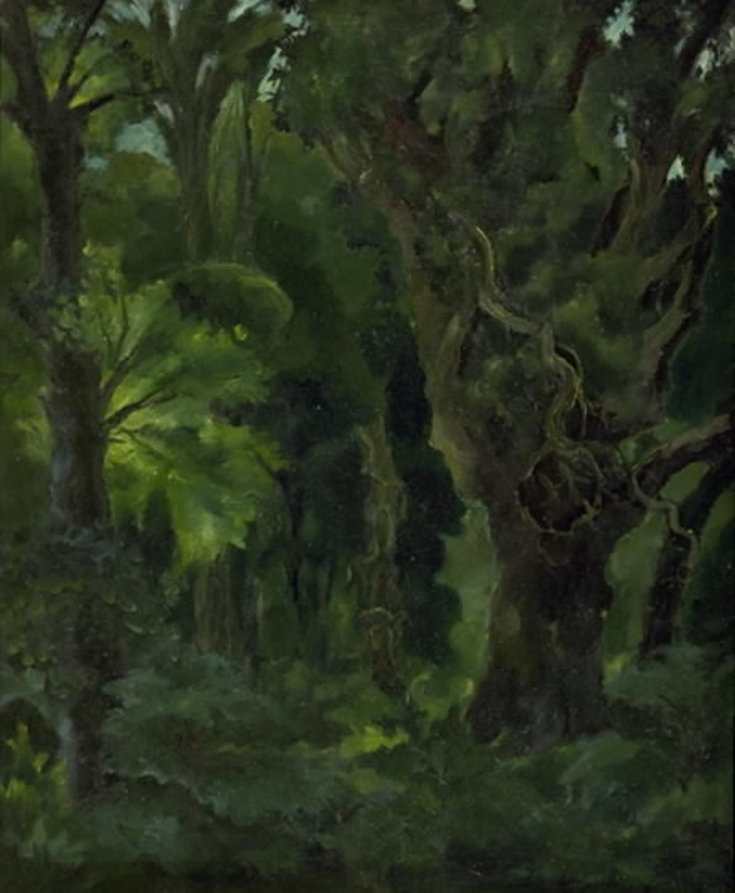 Wooded Landscape. 