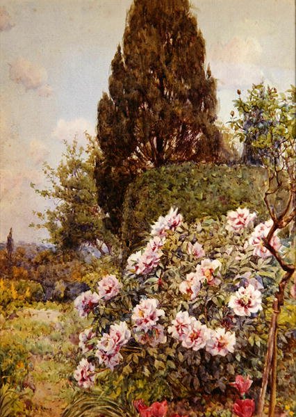Peonies, Coddington, near Ledbury by Ernest Arthur Rowe