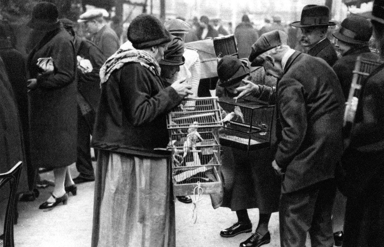 A Group of Buyers of Canaries, Paris by Ernest Flammarion