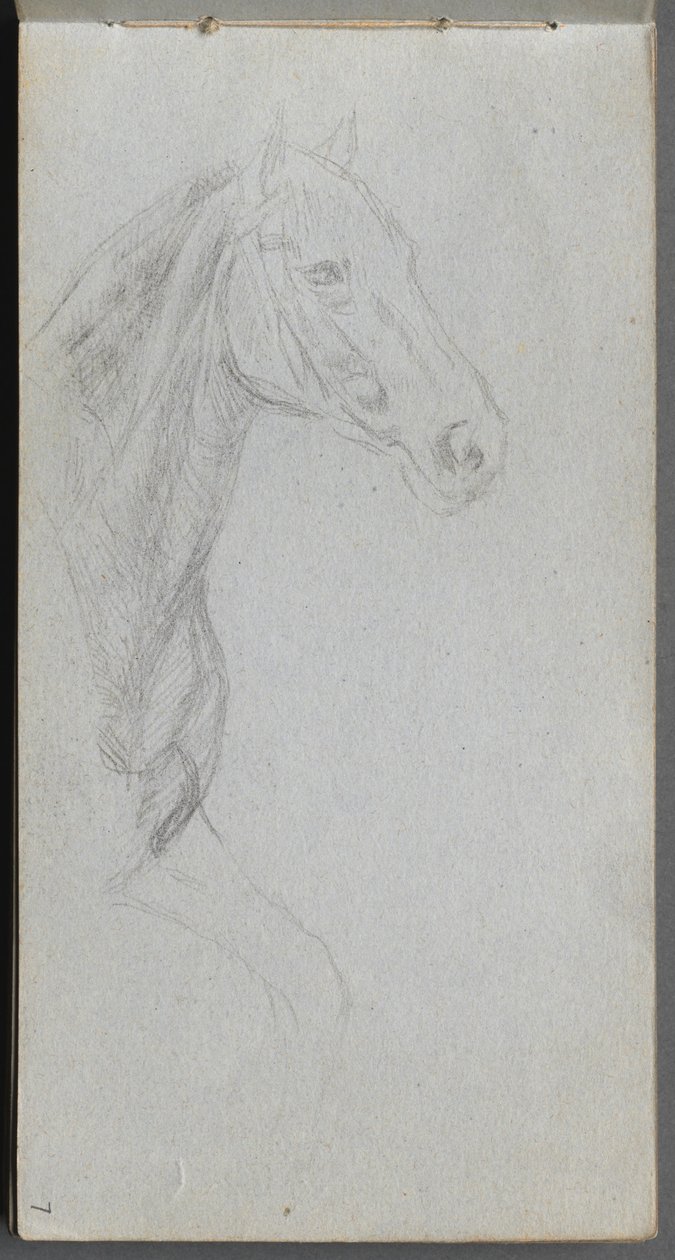 Sketchbook, page 07: Study of a Horse by Ernest Meissonier