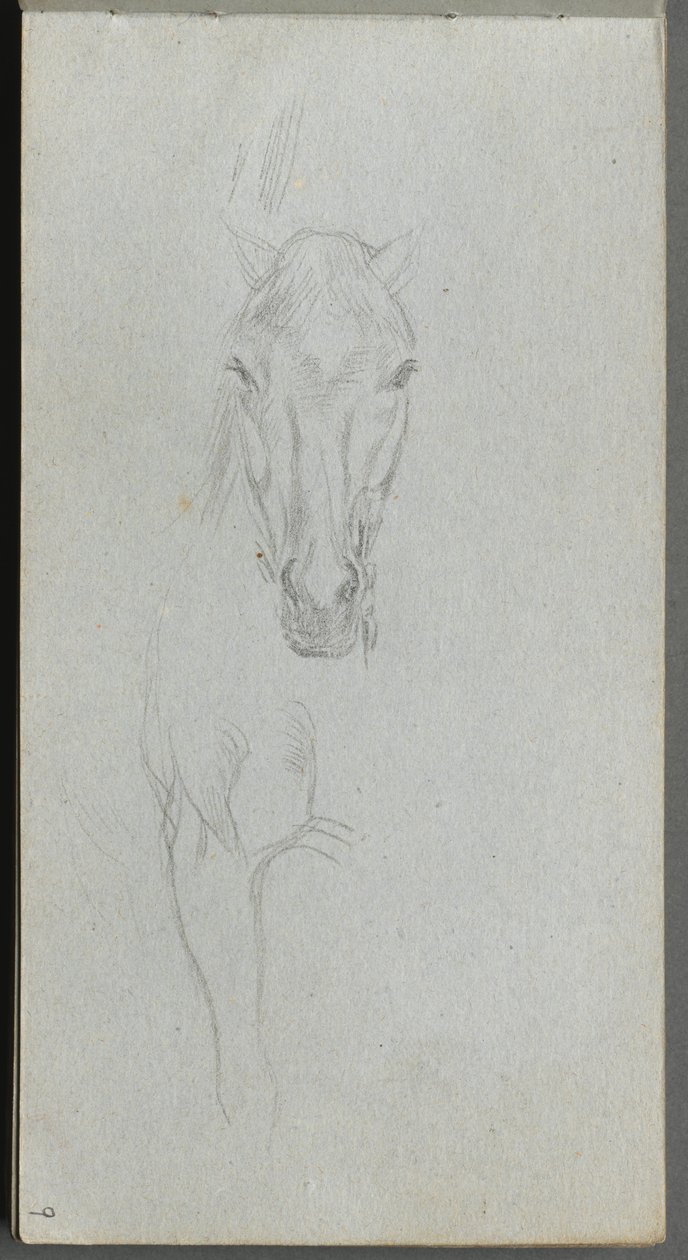 Sketchbook, page 09: Study of a Horse by Jean-Louis Ernest Meissonier