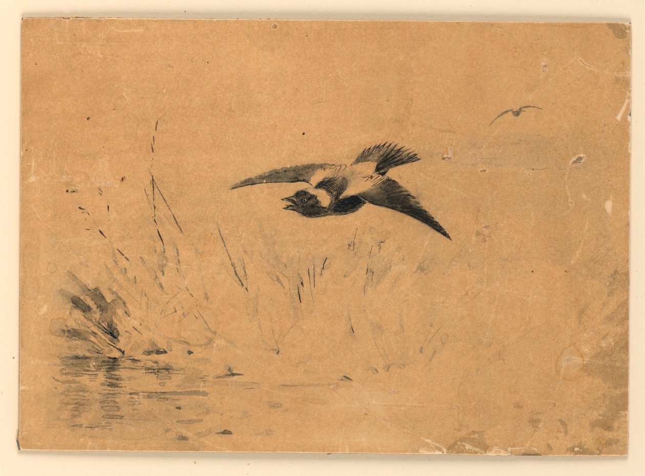 Bobolink by Ernest Thompson Seton