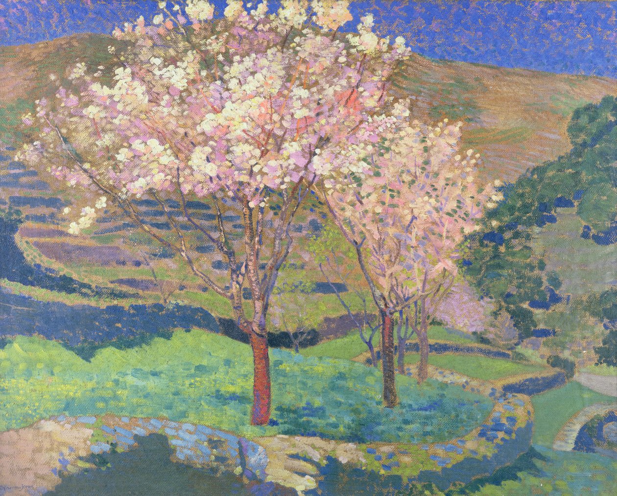 Trees in Blossom with Terraces by Ernest Yarrow Jones
