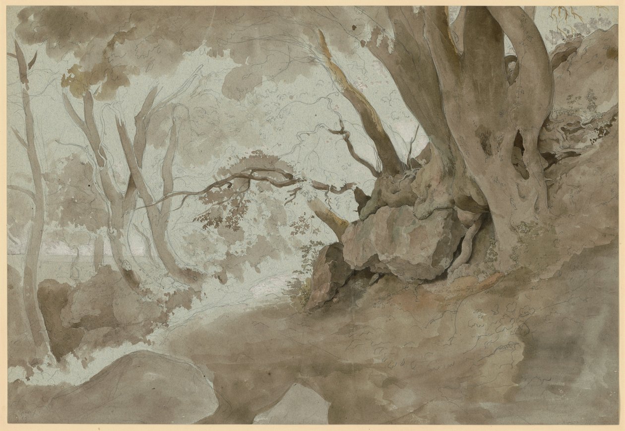 Tree and Rock Study by Ernst Fries