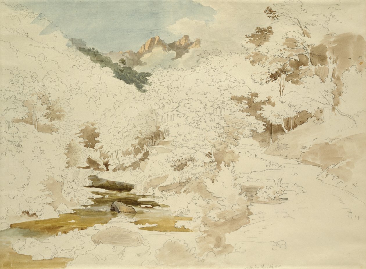 Woodland near Massa by Ernst Fries