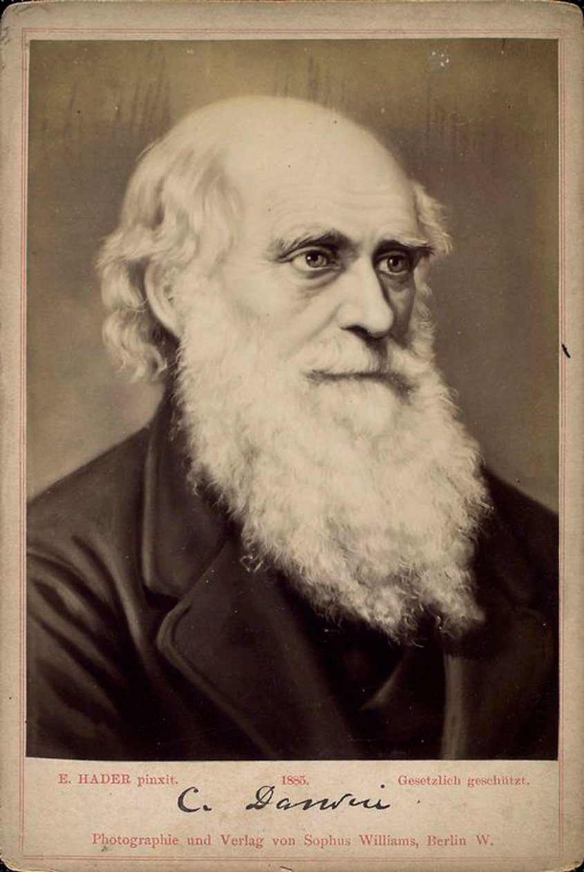 Charles Darwin, British Naturalist, c1860s-c1870s by Ernst Hader