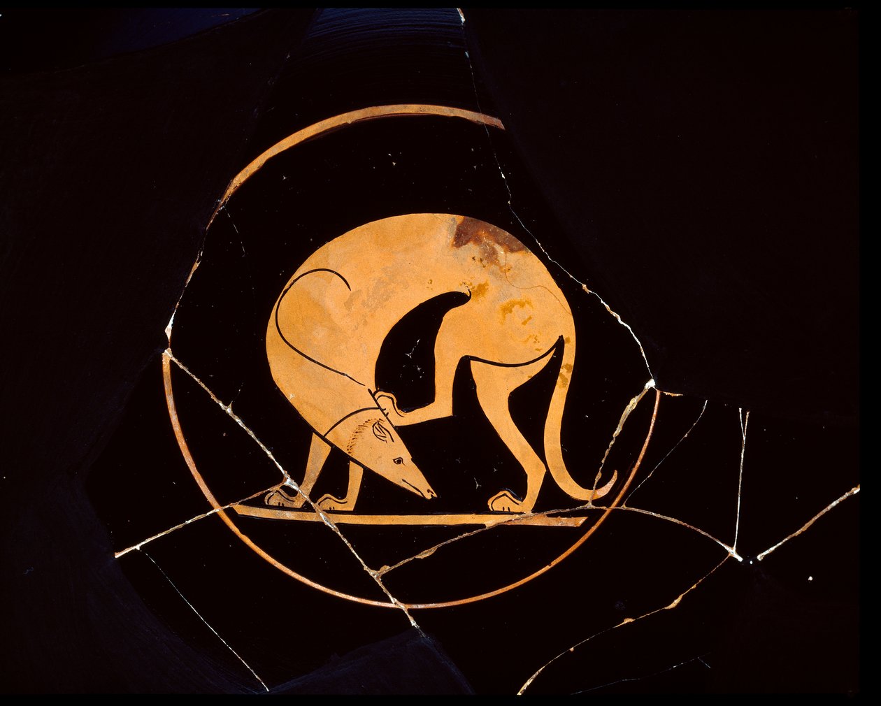 Attic Red-Figure Cup of Dog Scratching His Ear with a Hindleg, Inside Tondo by Euergides painter