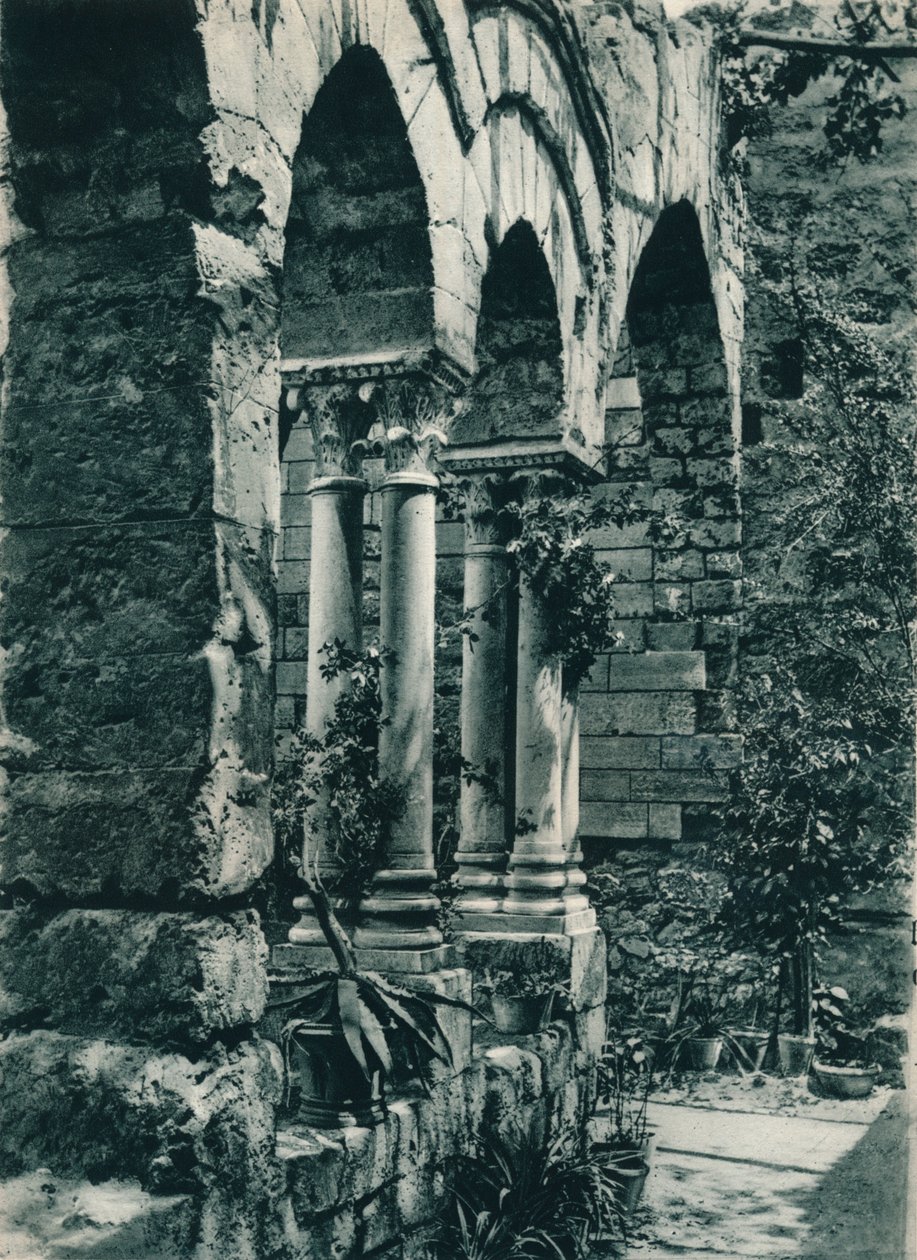 Church of San Giovanni degli Eremiti, Palermo, Sicily, Italy by Eugen Poppel