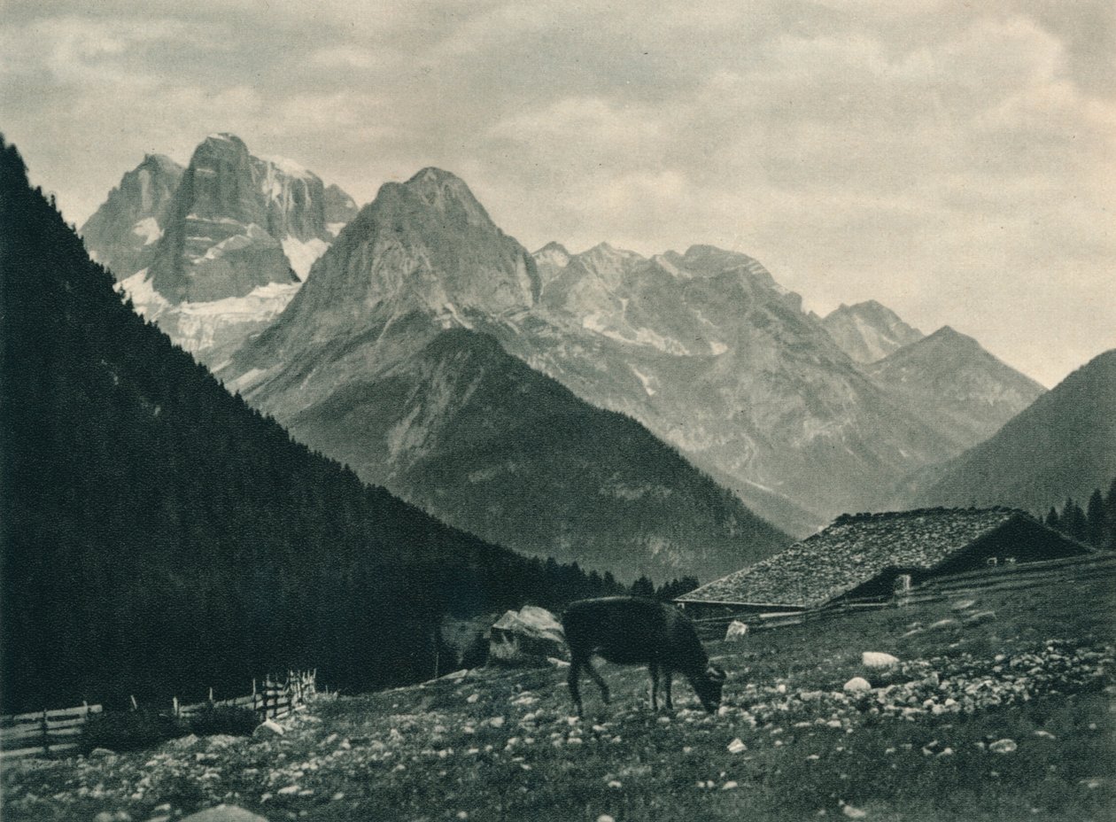View of the Brenta Group with Alpine Pasture, Madonna di Campiglio, Dolomites, Italy by Eugen Poppel
