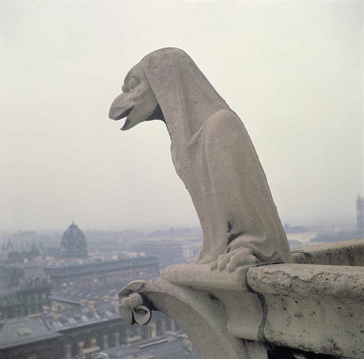 Gargoyle on the balustrade of the Grande Galerie, replica of a 12th century original by Eugene Emmanuel Viollet le Duc