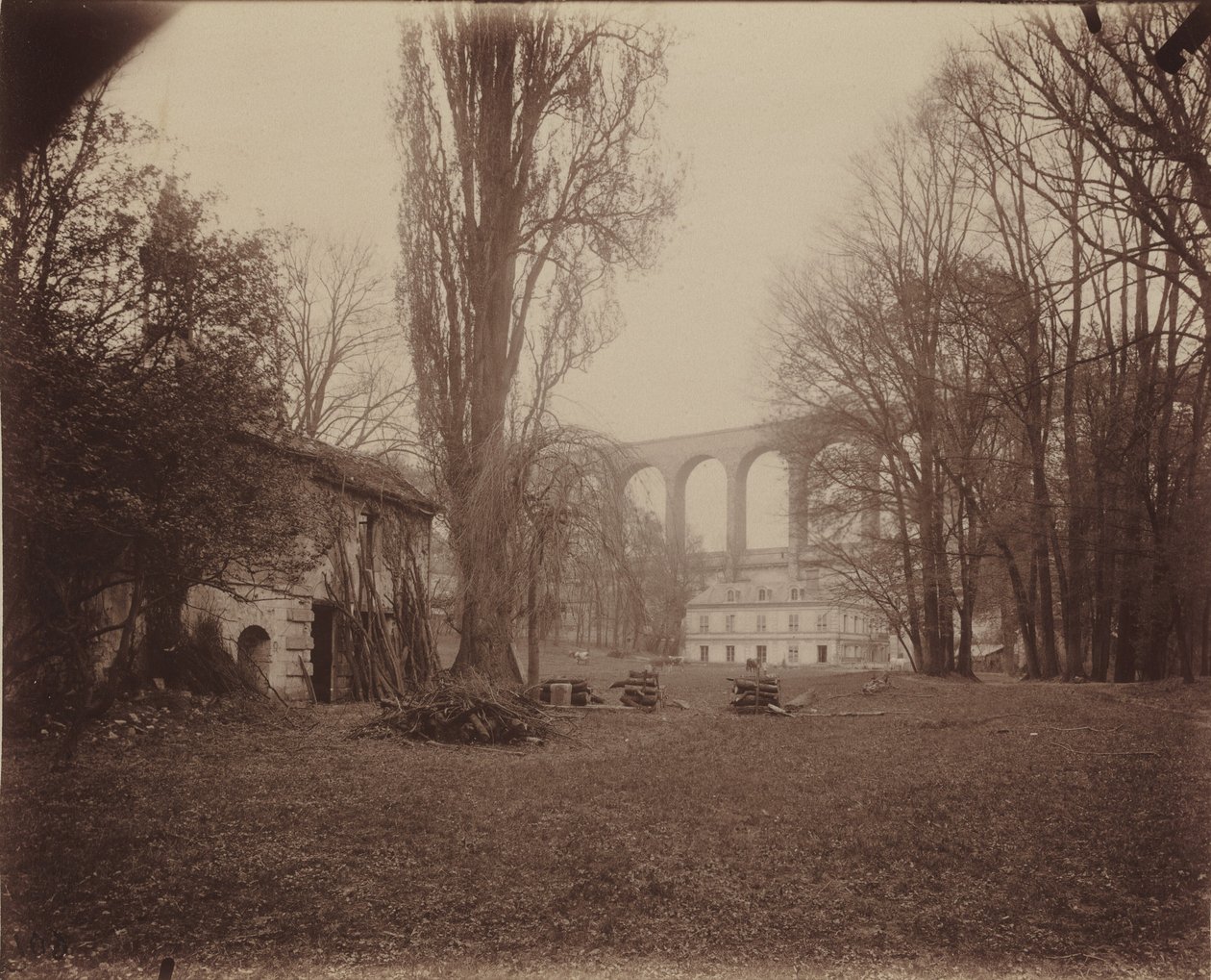 Arcueil-Cachan, Park of Madame de Provigny by Eugène Atget