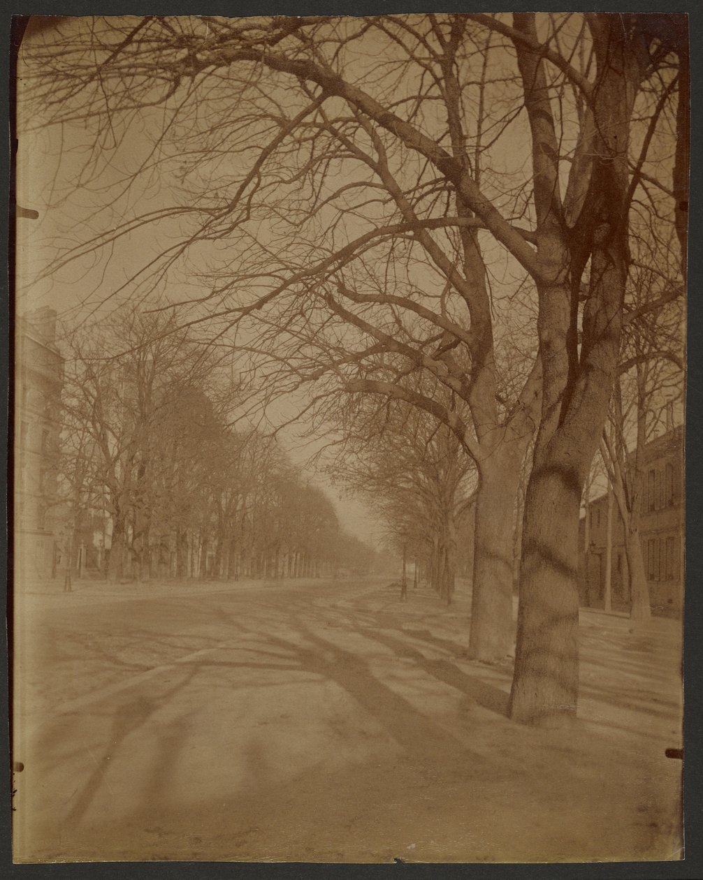 Avenue of the Observatory, 14th District by Eugène Atget