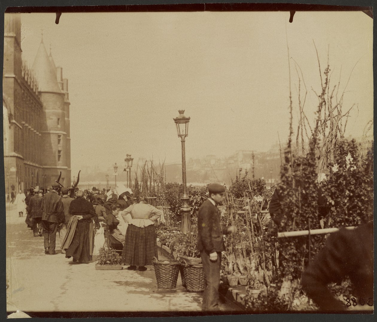 The Flower Market by Eugène Atget