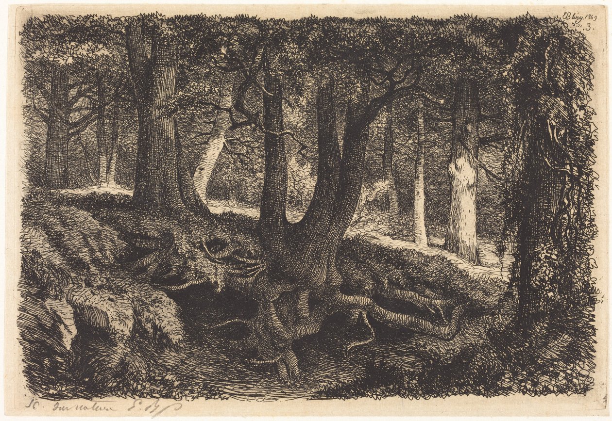 Tree with Roots by Eugene Bléry
