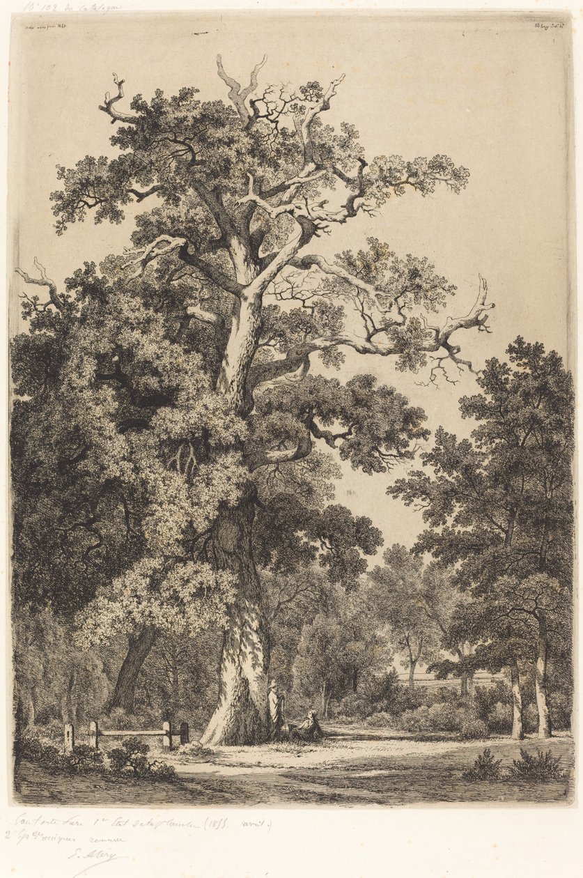Ancient Oak in the Bois de Boulogne, 1855 by Eugene Bléry