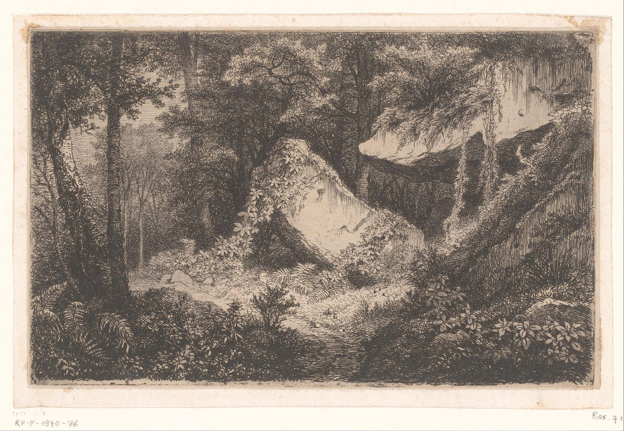 Overgrown Rocks in a Forest by Eugene Bléry