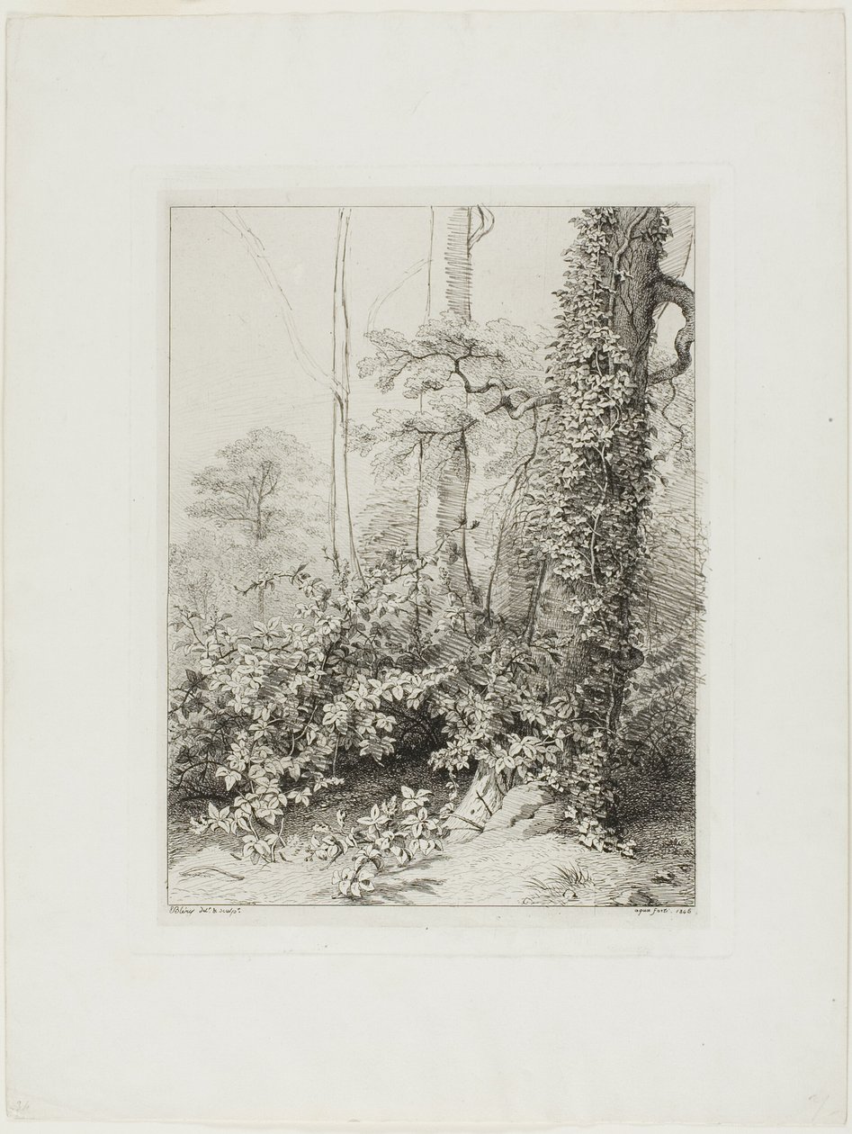 Bramble and Ivy by Eugene Bléry