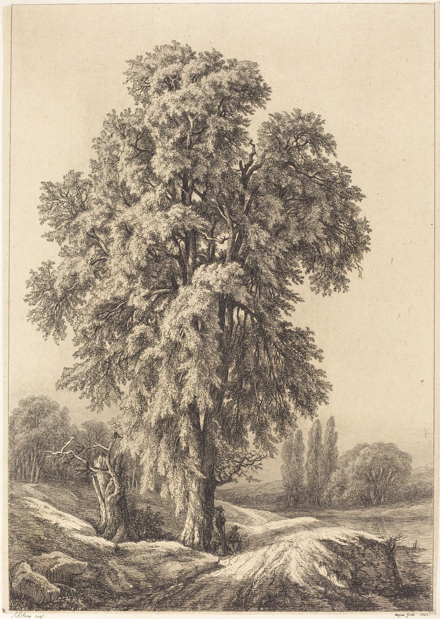 The Elm Tree by Eugene Bléry