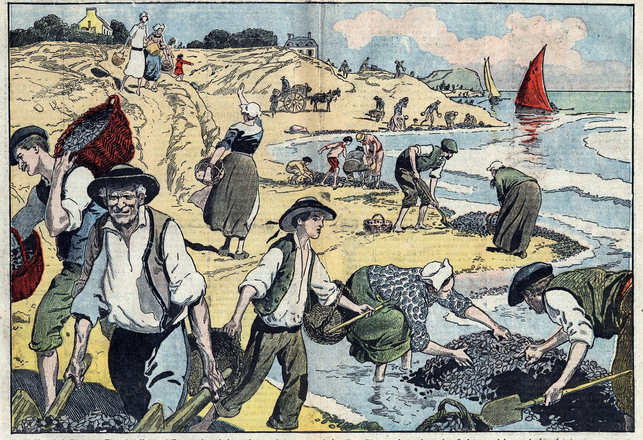 The inhabitants of the Thouais coastline harvesting mussels (illustration of Damblans in 