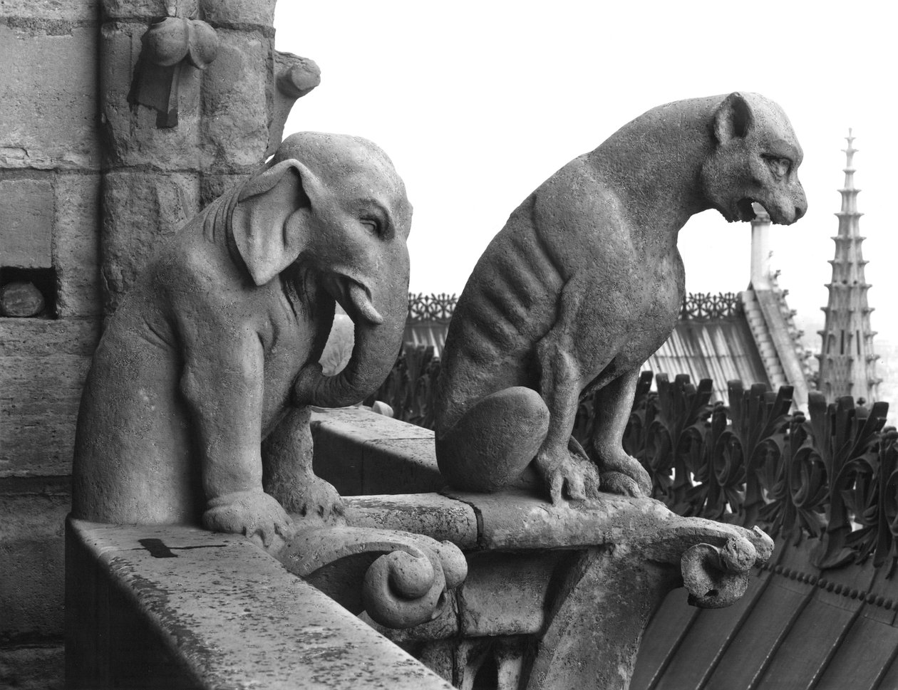 Elephant and lion gargoyles from the balustrade of the Grande Galerie of the west facade, replica of a 12th century original by Eugene Emmanuel Viollet le Duc