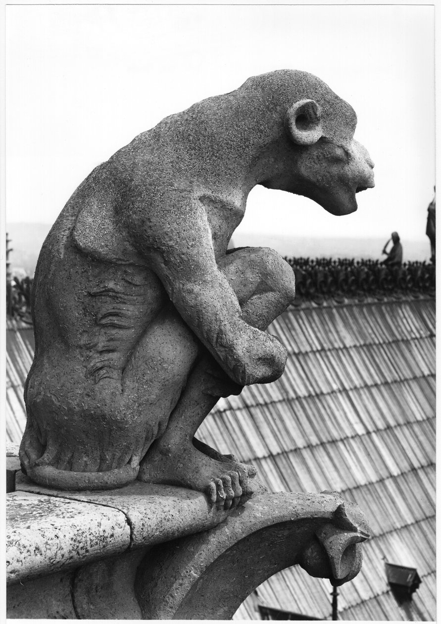 Monkey gargoyle, from the balustrade of the Grande Galerie of the west facade, replica of a 12th century original by Eugene Emmanuel Viollet le Duc