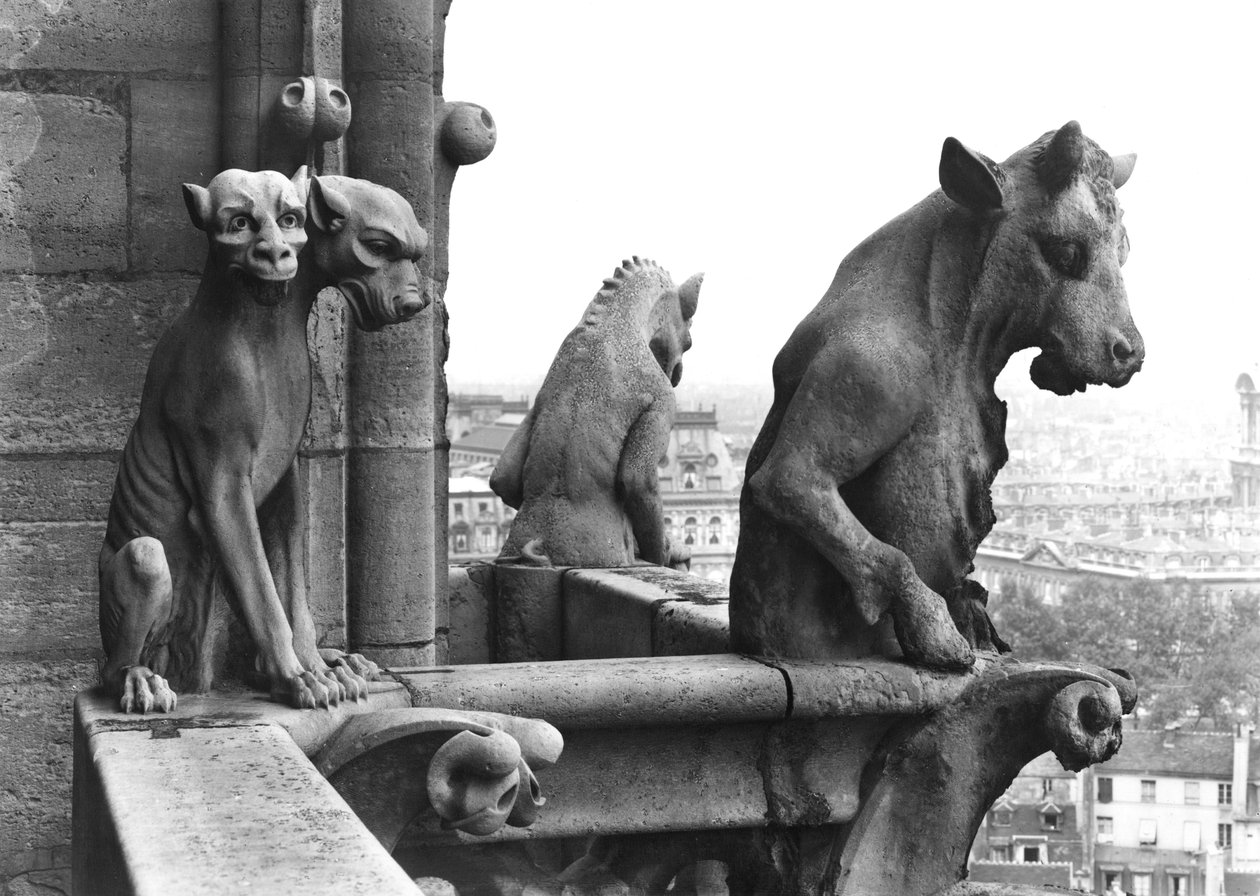 Two gargoyles from the balustrade of the Grande Galerie of the west facade, replica of a 12th century original by Eugene Emmanuel Viollet le Duc